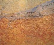 Vincent Van Gogh Wheat Field behind Saint-Paul Hospital with a Reaper (nn04) Germany oil painting reproduction
